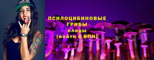 крисы Алагир