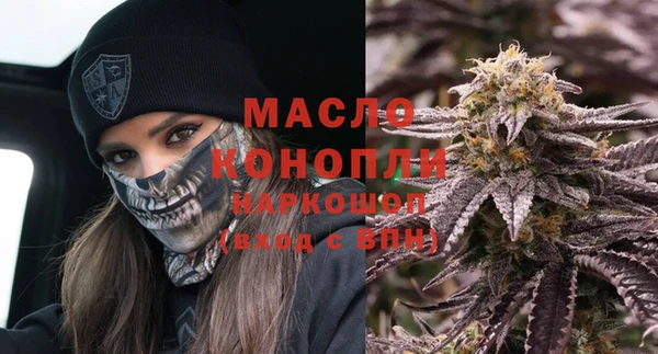 индика Михайлов