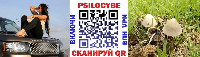 Псилоцибиновые грибы Psilocybine cubensis  кракен вход  Зарайск 